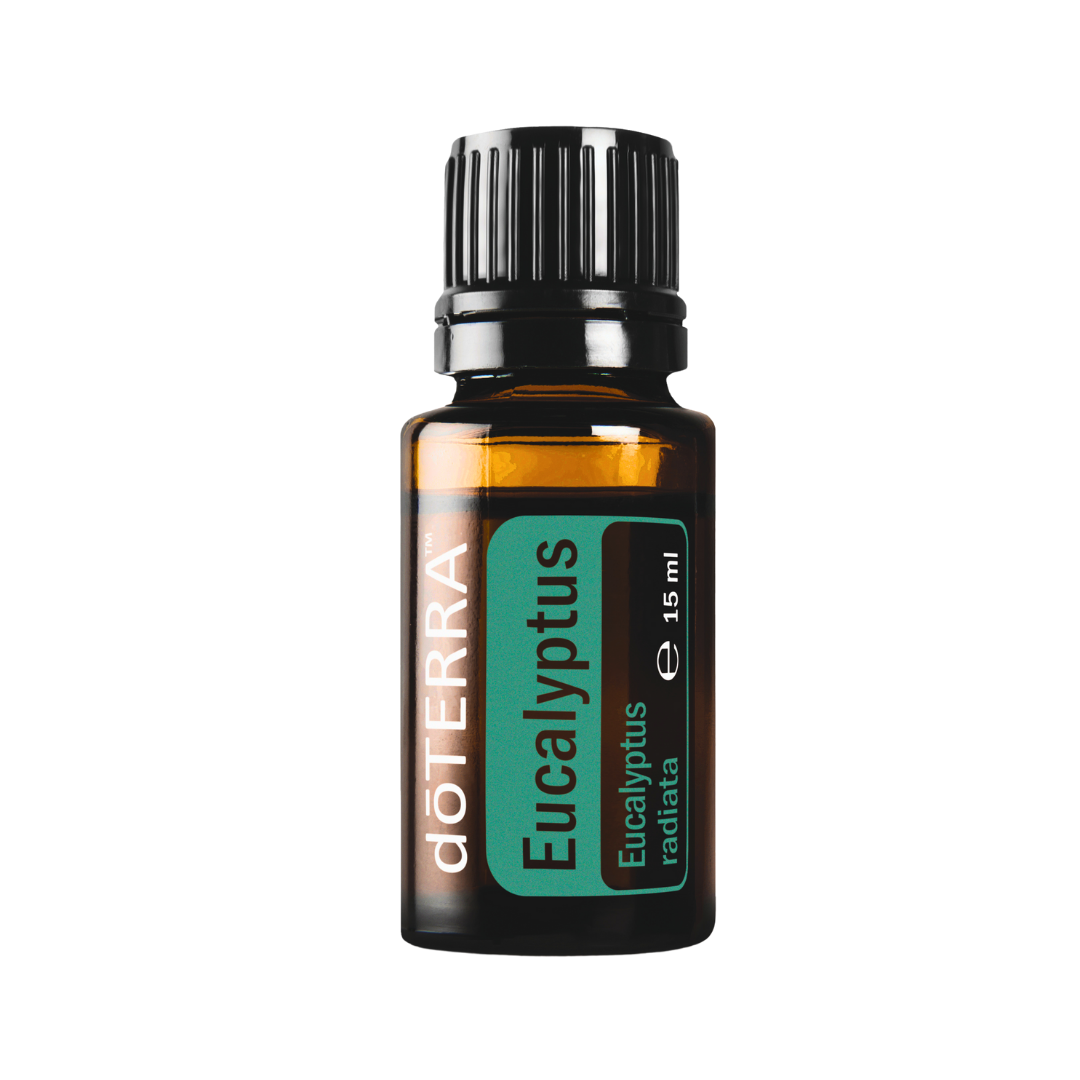 Eukalyptusöl - natürliche Atemwege Befreiung - 15ml