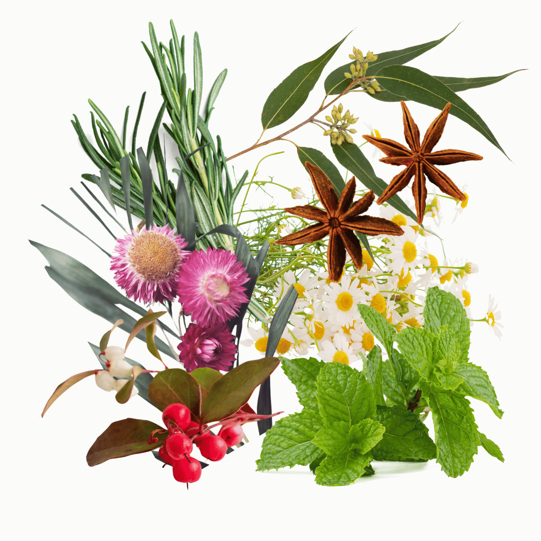 Deep Blue Stick - hilft sofort bei müden Muskeln und steifen Gelenke - 48g