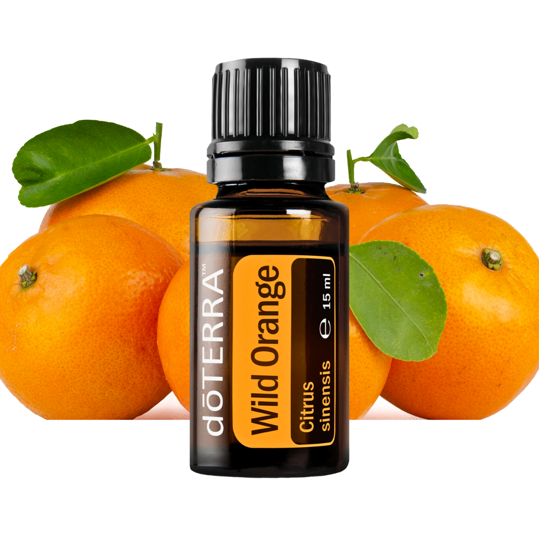 10 Öle Hausapotheke für unterwegs plus 1x Wildorange