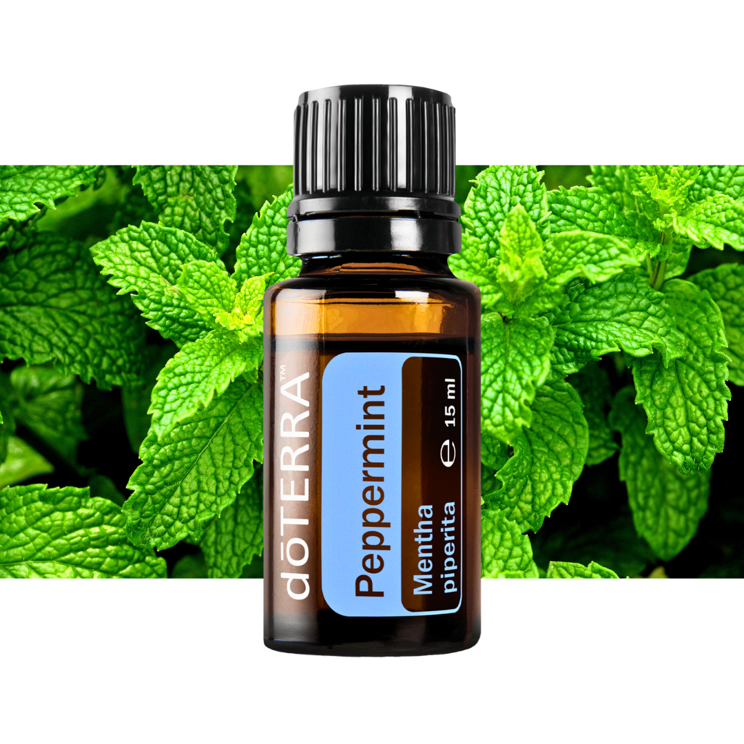 Pfefferminzöl - natürliche Linderung bei Kopfschmerzen - 15ml