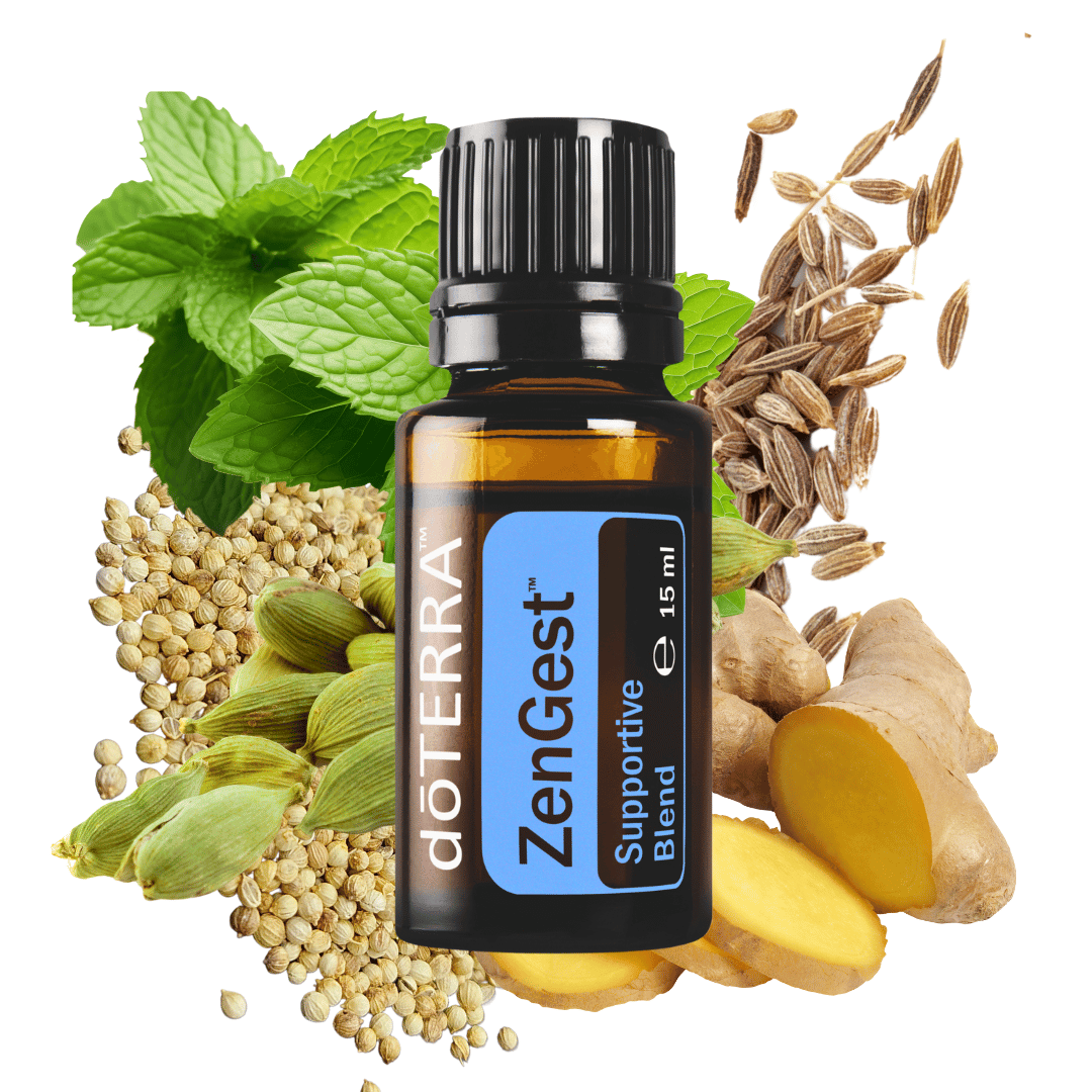 ZenGest ist ein Must-have gegen Magenbeschwerden - 15ml