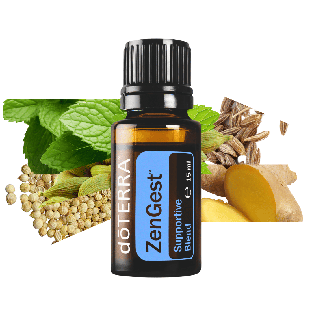 ZenGest ist ein Must-have gegen Magenbeschwerden - 15ml