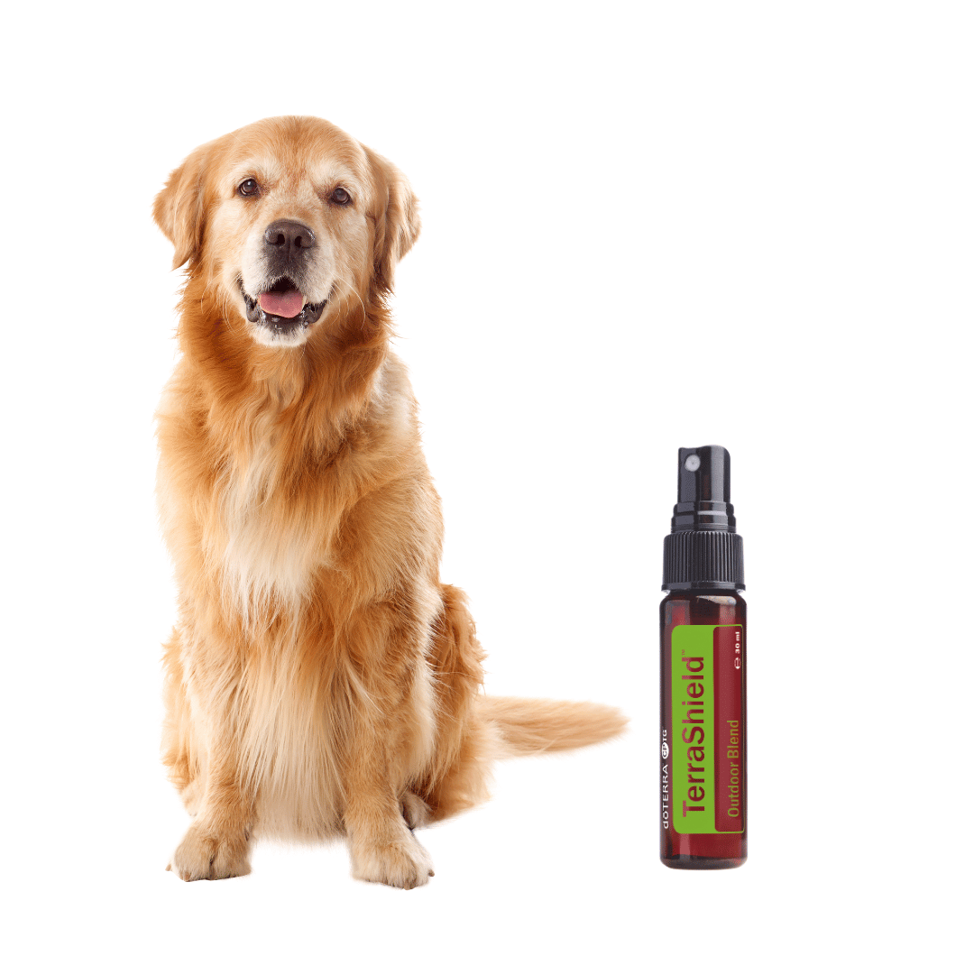 TerraShield – Natürlicher Insektenschutz für Mensch und Hund - 30ml