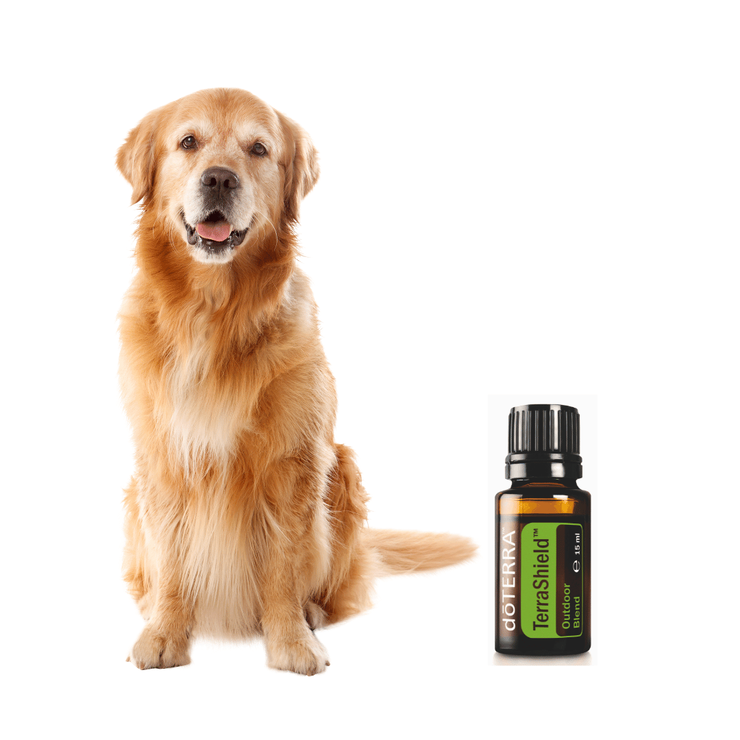 TerraShield – natural outdoor shield - für Mensch und Hund - 15ml