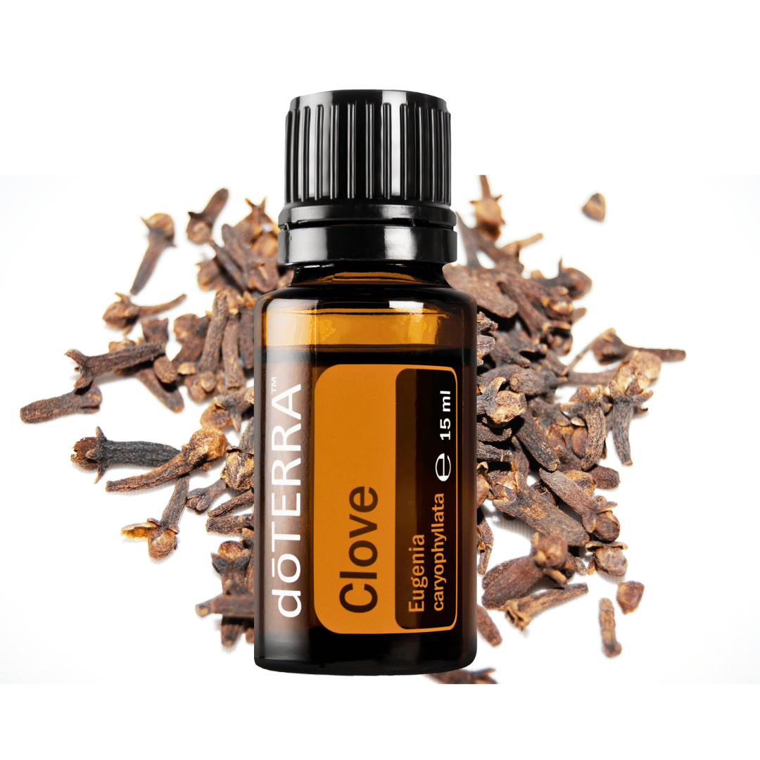 Nelkenöl - die natürliche Zahnpflege bei Mundgeruch - 15ml