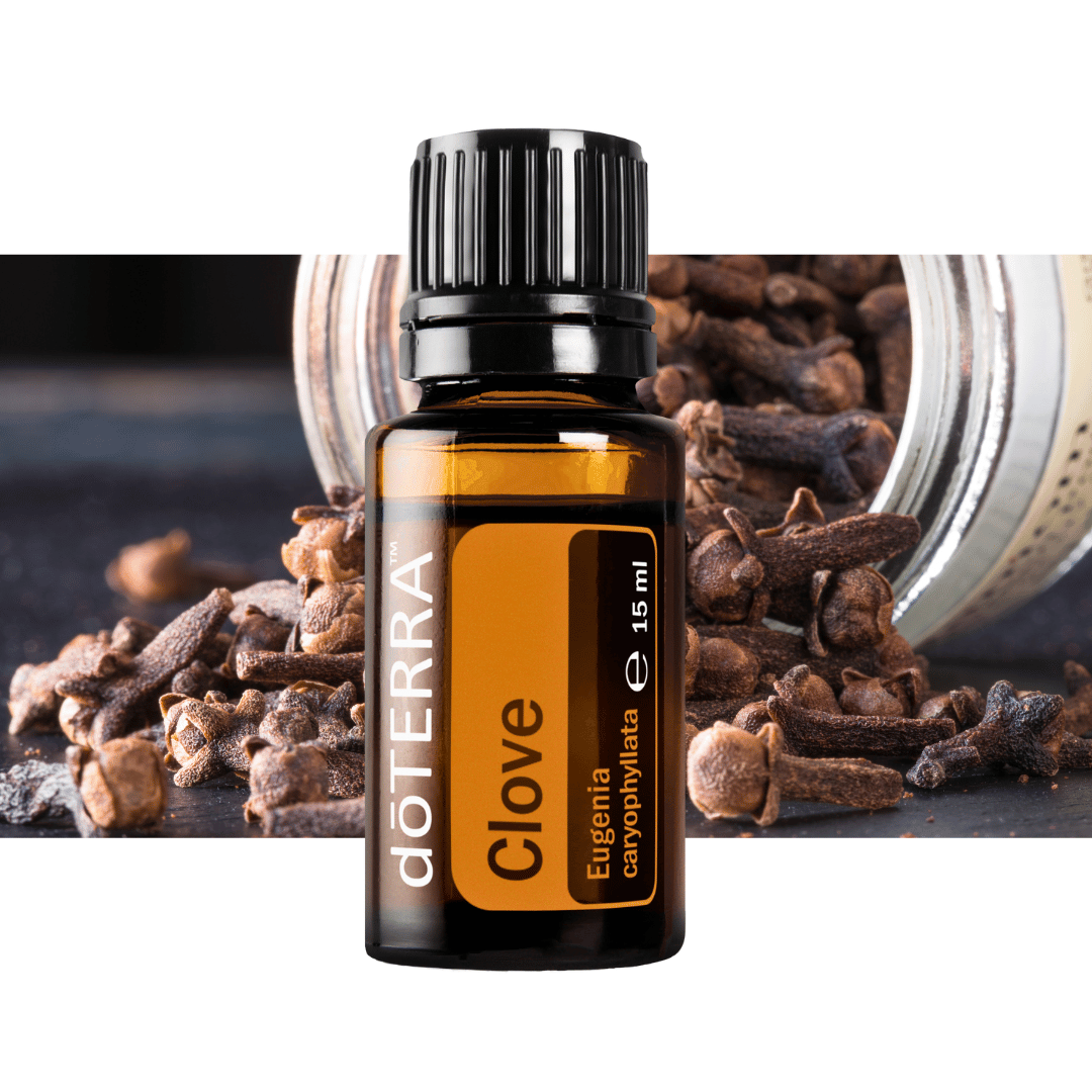 Nelkenöl - die natürliche Zahnpflege bei Mundgeruch - 15ml