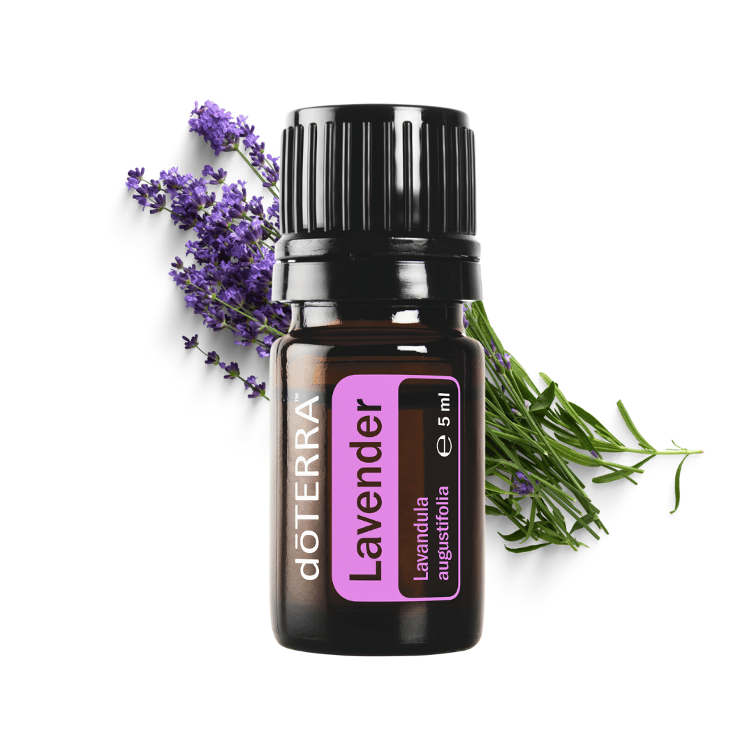 Einsteiger Trio - ätherische Öle für die natürliche Hausapotheke - 3 x 15ml