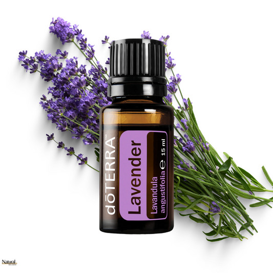 Lavendelöl kaufen