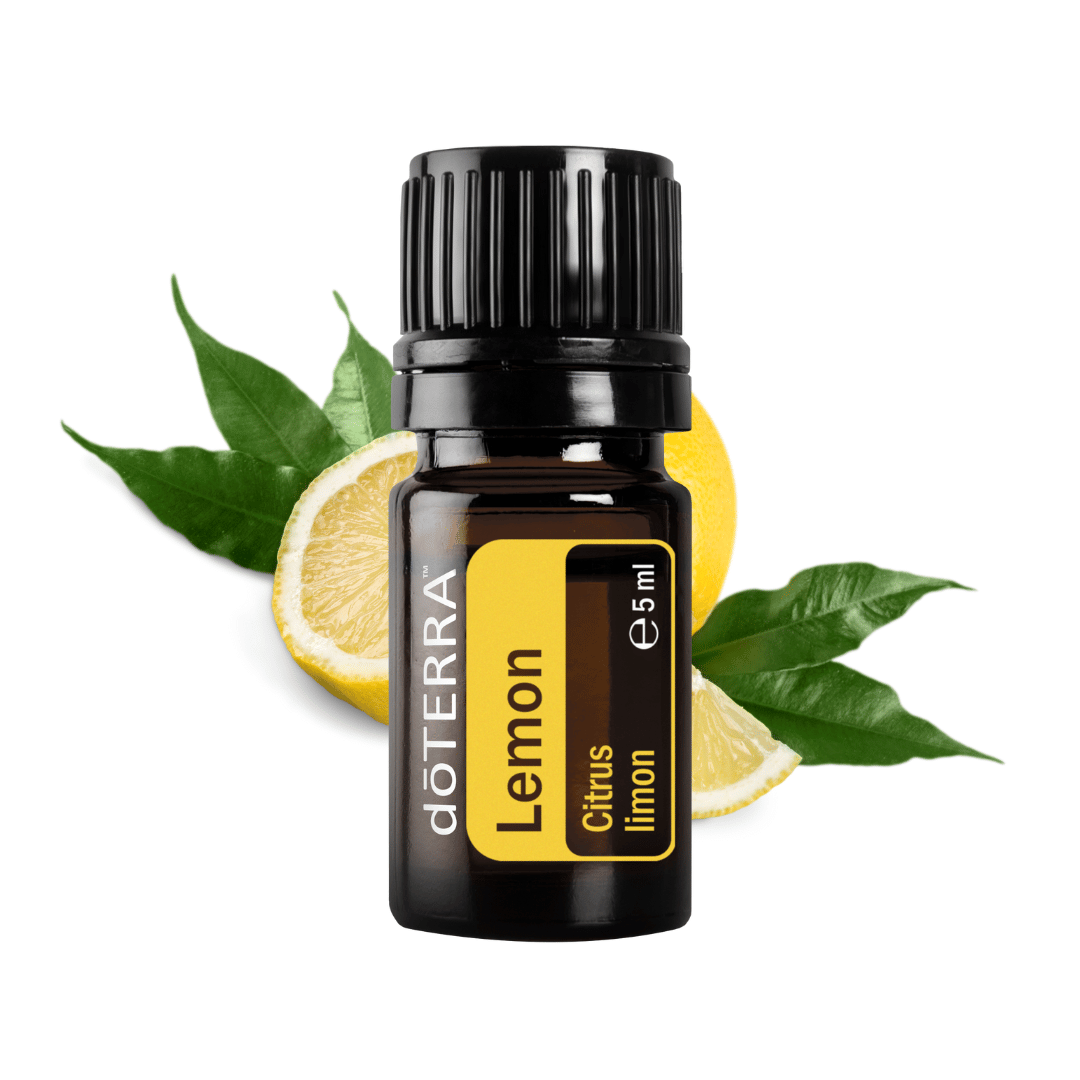 Einsteiger Trio - ätherische Öle für die natürliche Hausapotheke - 3 x 15ml