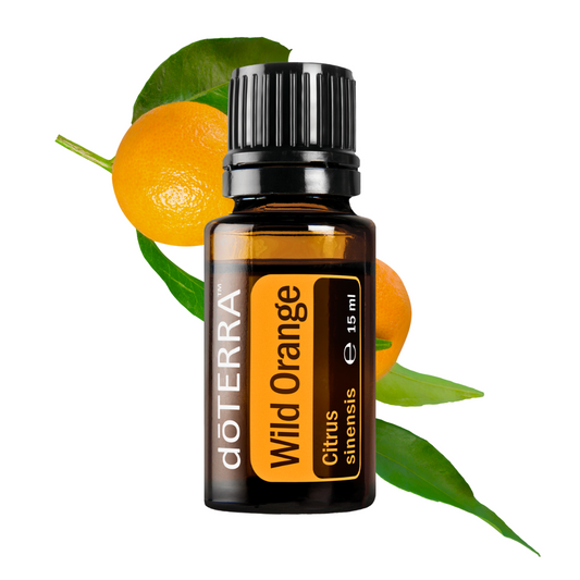 anwendung ätherisches öl,
anwendung orangenöl, ätherisches Öl, Orangenöl, Orange
wirkung ätherisches öl, wirkung orangenöl, wellness, Massage Öl
wild orange oil, doterra, Aromatherapy
aromatherapie
