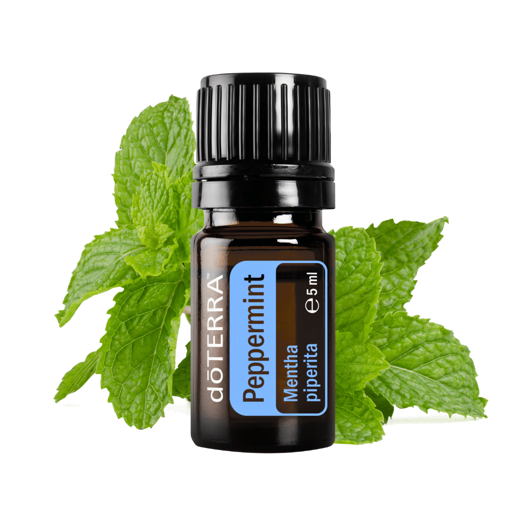 Einsteiger Trio - ätherische Öle für die natürliche Hausapotheke - 3 x 15ml