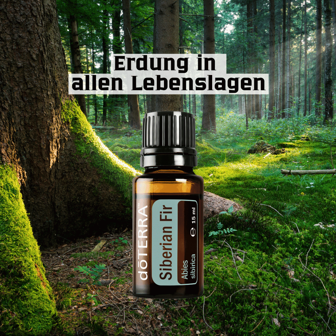 Siberian Fir - Stress abbauen und Innere Ruhe finden