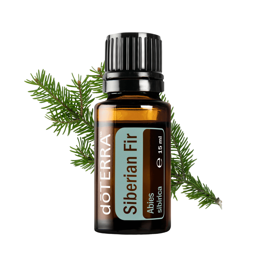 Siberian Fir - Stress abbauen und Innere Ruhe finden