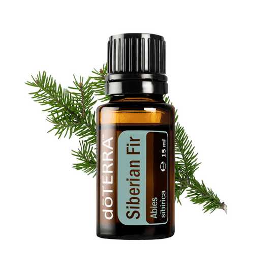 Siberian Fir - Stress abbauen und Innere Ruhe finden