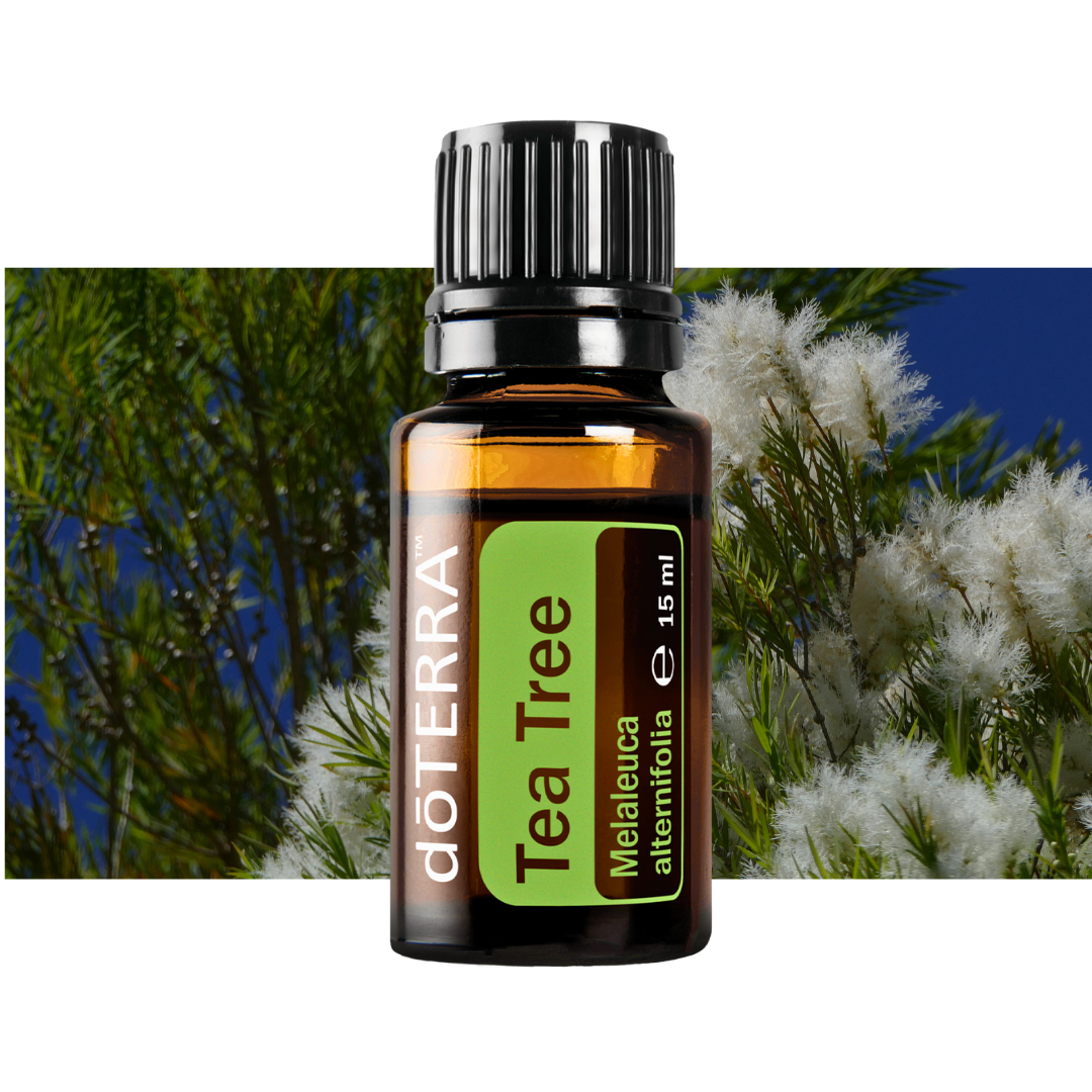 Teebaumöl - natürliche Linderung bei Schuppenflechte - 15ml