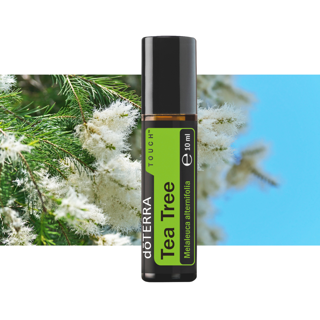 Teebaum Touch - natürliche Linderung bei Lippenherpes & Fieberblasen - 10ml