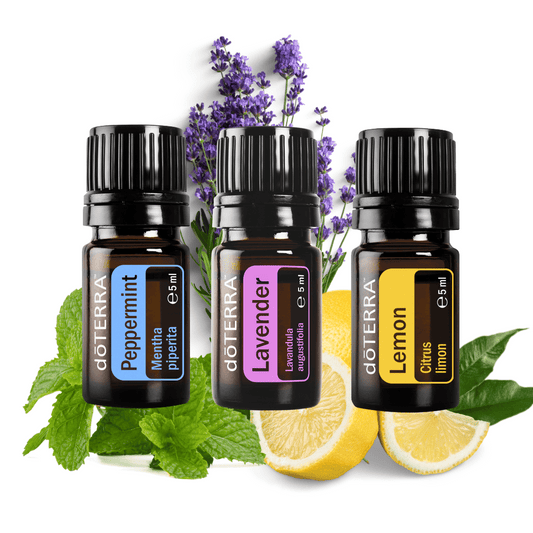 Einsteiger Trio - ätherische Öle für die natürliche Hausapotheke - 3 x 15ml