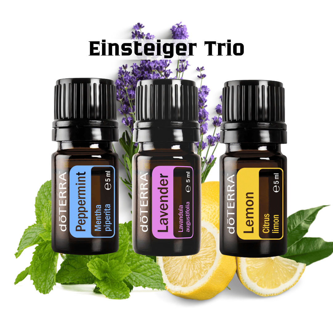 Einsteiger Trio - ätherische Öle für die natürliche Hausapotheke - 3 x 15ml