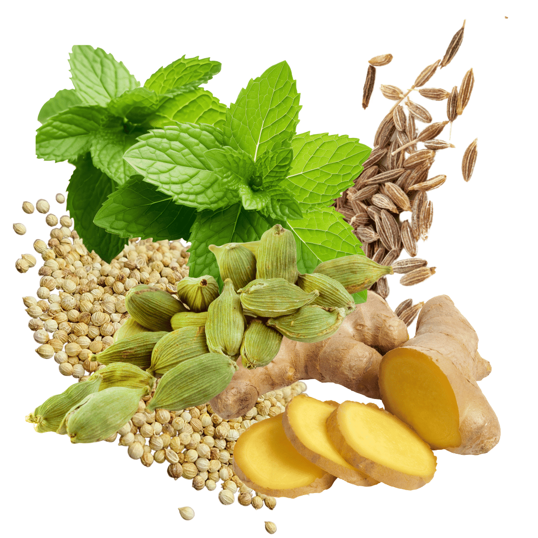 ZenGest Touch ist ein Must-have gegen Reiseübelkeit 10ml