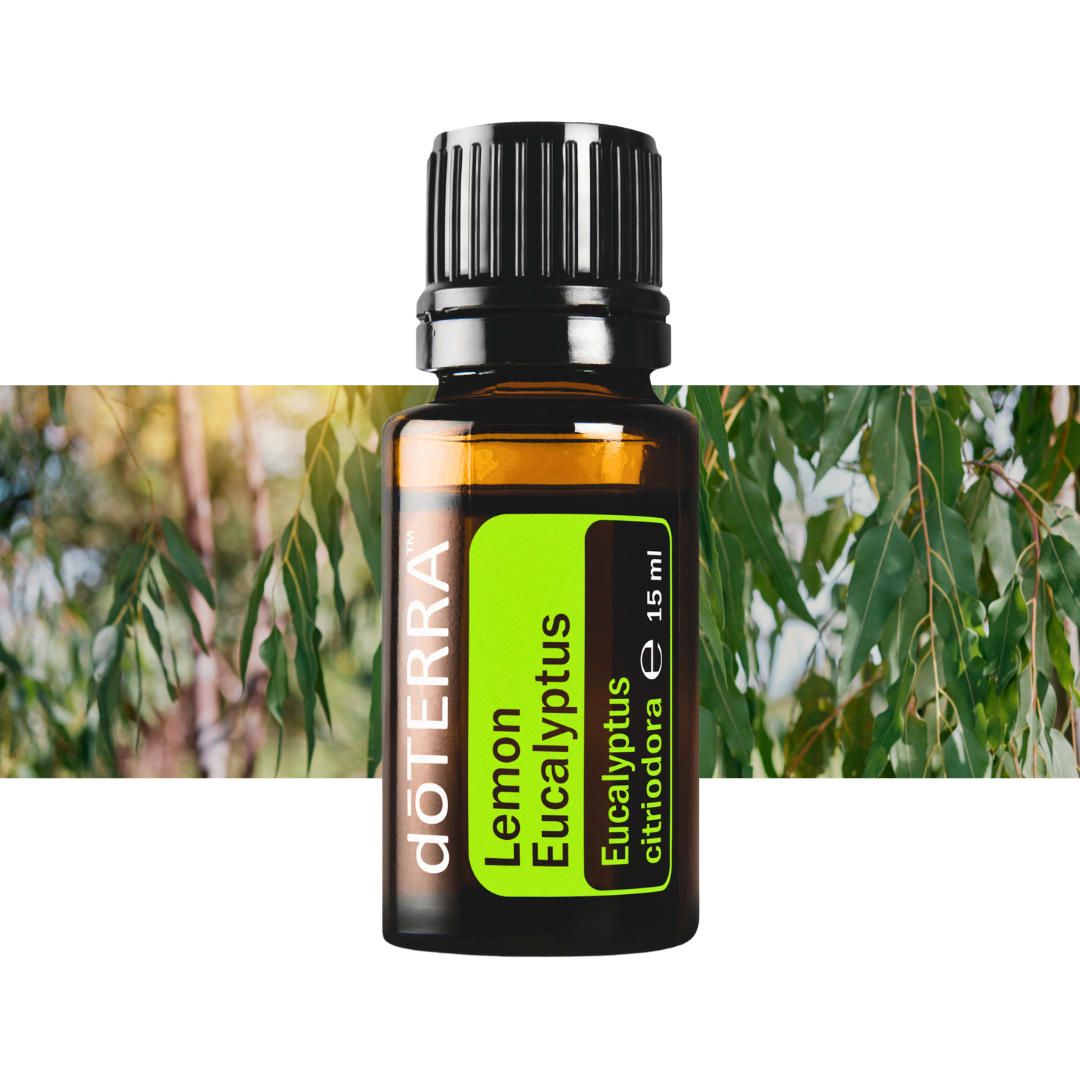 Zitroneneukalyptusöl - fördert emotionale Klarheit - 15ml