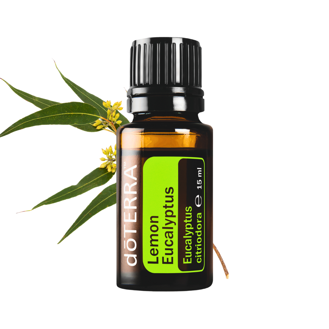 Zitroneneukalyptusöl - fördert emotionale Klarheit - 15ml